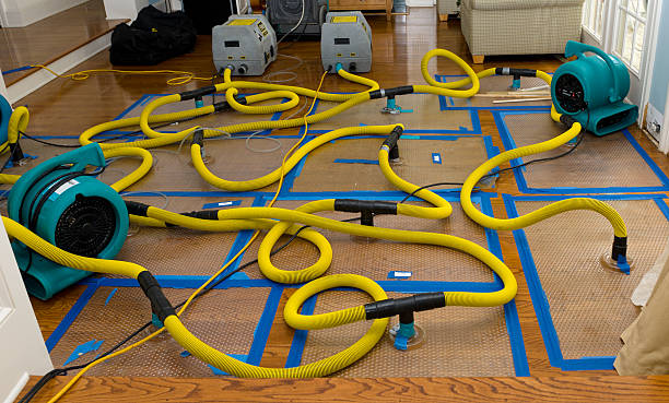 Professional Basement Flood Cleanup technician working in Waukesha, WI